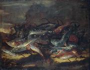 Giuseppe Recco Still-life with fish. oil painting on canvas